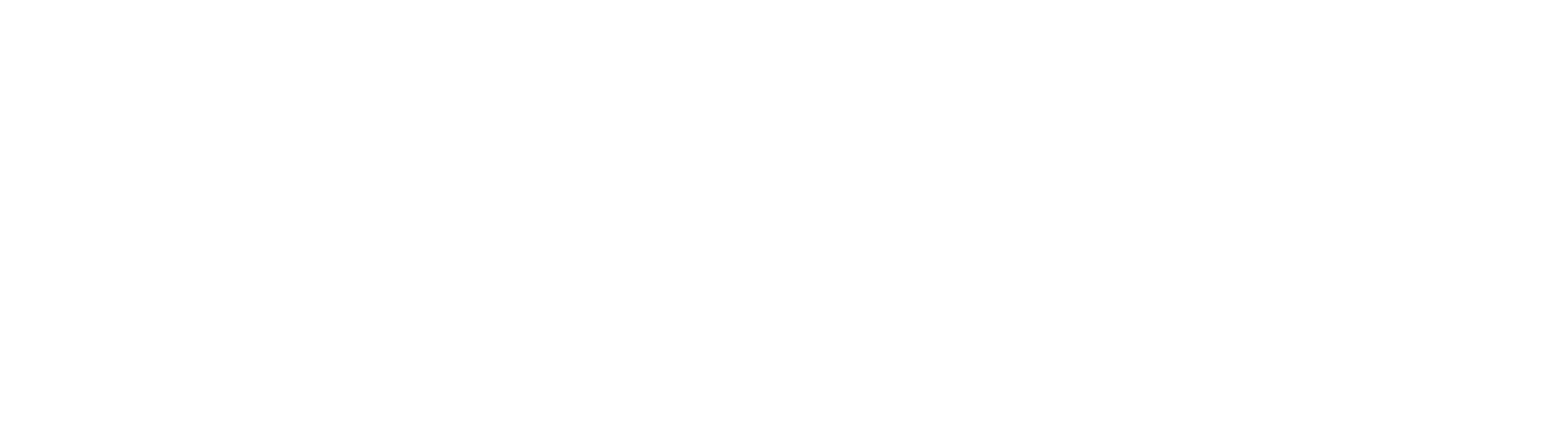 Prince Development Logo